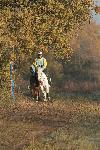 01 - campo quercia